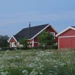 Aftenbillede Strandgyden 16
