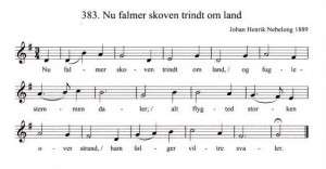 Nu falmer skoven