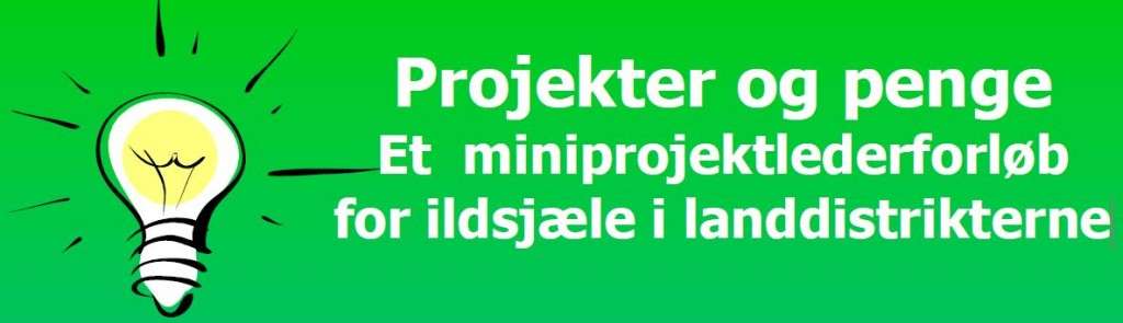 Projekter og penge - LAG 2015