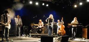 Raindogs press picture