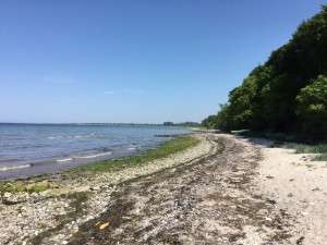 Stranden